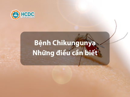 [Bệnh Chikungunya - Những điều cần biết]