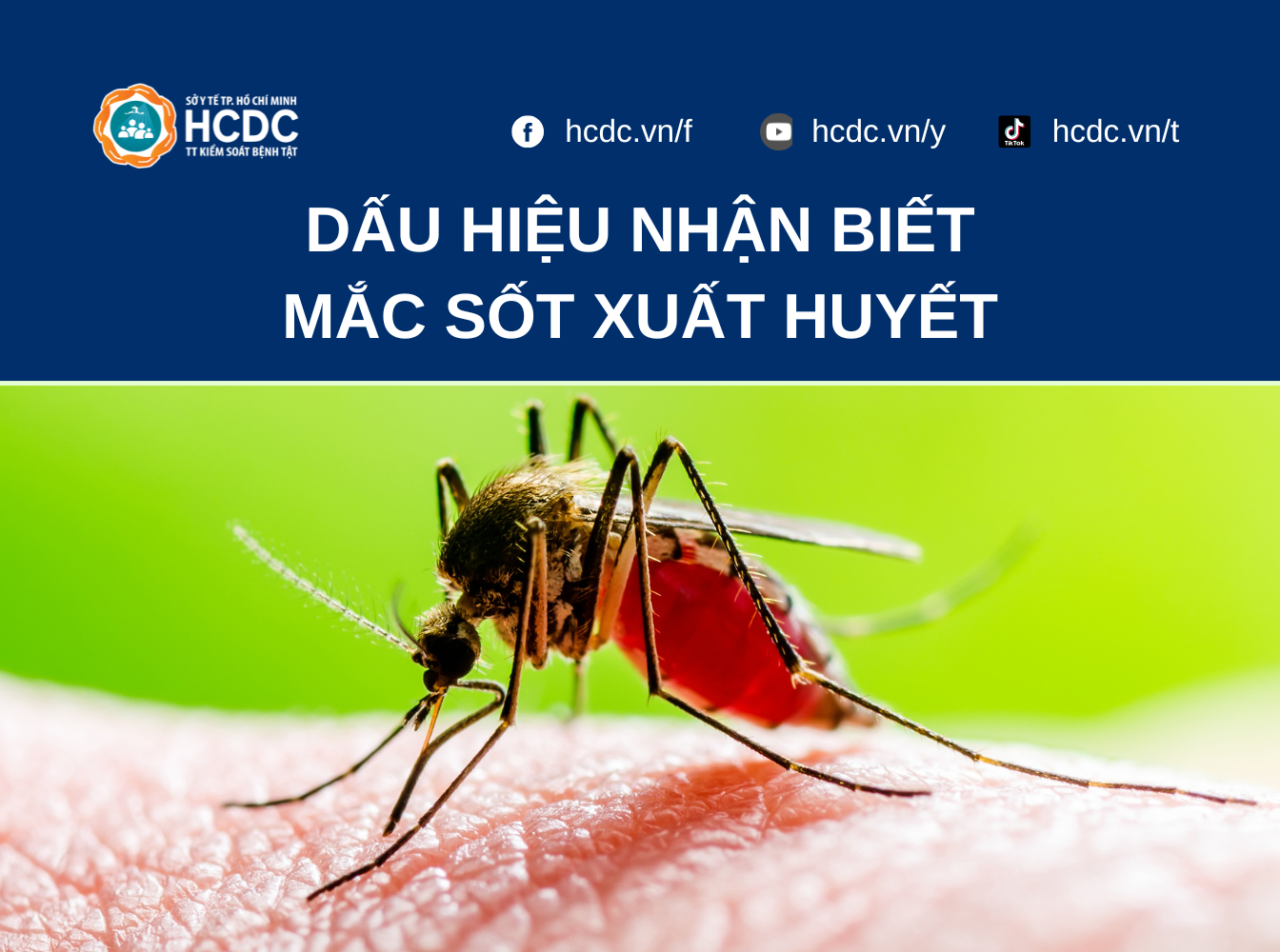 Dấu hiệu nhận biết mắc sốt xuất huyết