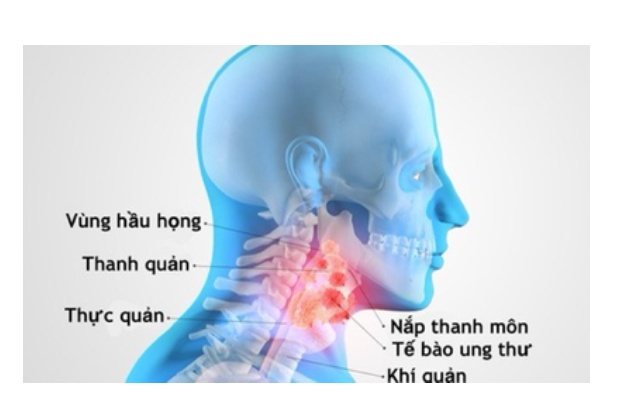 Điểm báo ngày 26/12/2021