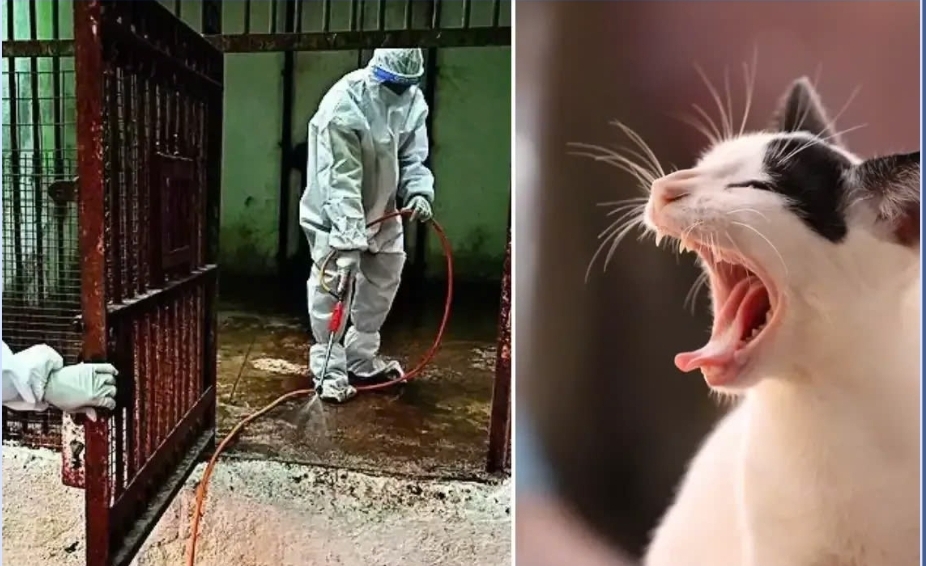 Điểm tin nhanh ngày 01/3/2025