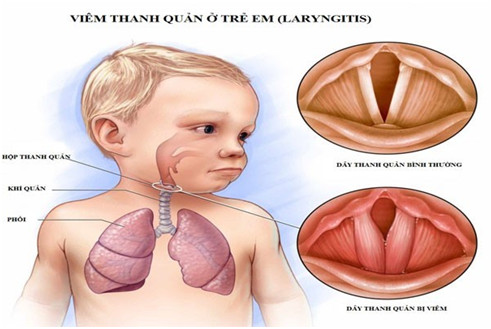 Điểm tin nhanh ngày 03/12/2022