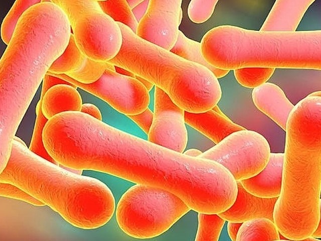 Điểm tin nhanh ngày 09/07/2024