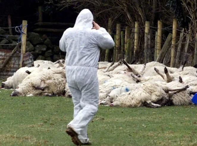 Điểm tin nhanh ngày 13/01/2025