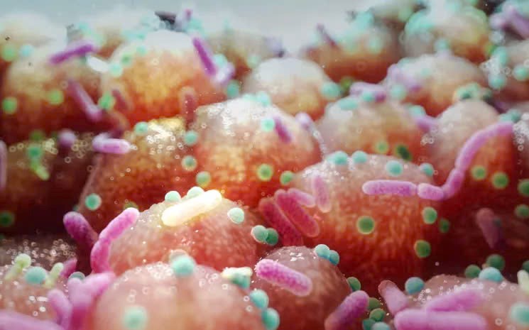 Điểm tin nhanh ngày 14/01/2025