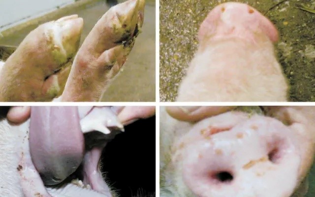 Điểm tin nhanh ngày 15/01/2025