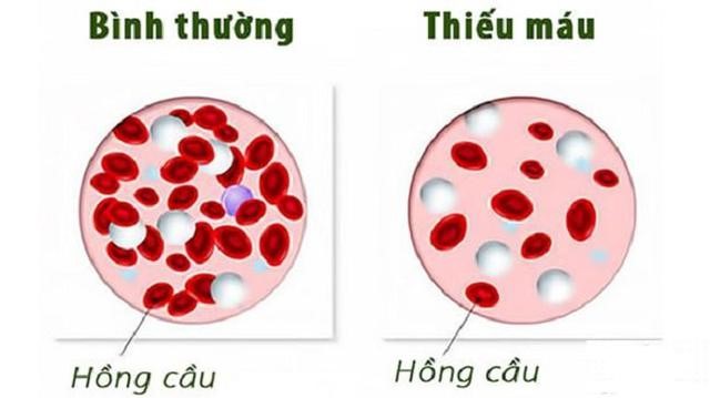 Điểm tin nhanh ngày 15/05/2023