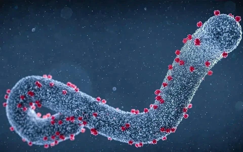 Điểm tin nhanh ngày 16/01/2025