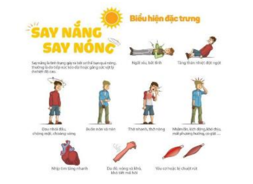 Điểm tin nhanh ngày 20/05/2023