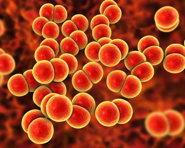 Điểm tin nhanh ngày 22/5/2025