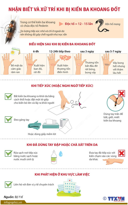 Điểm tin nhanh ngày 23/10/2022