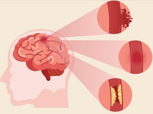 Điểm tin nhanh ngày 24/12/2024