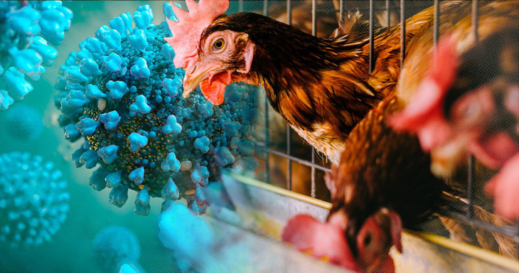 Điểm tin nhanh ngày 25/02/2023