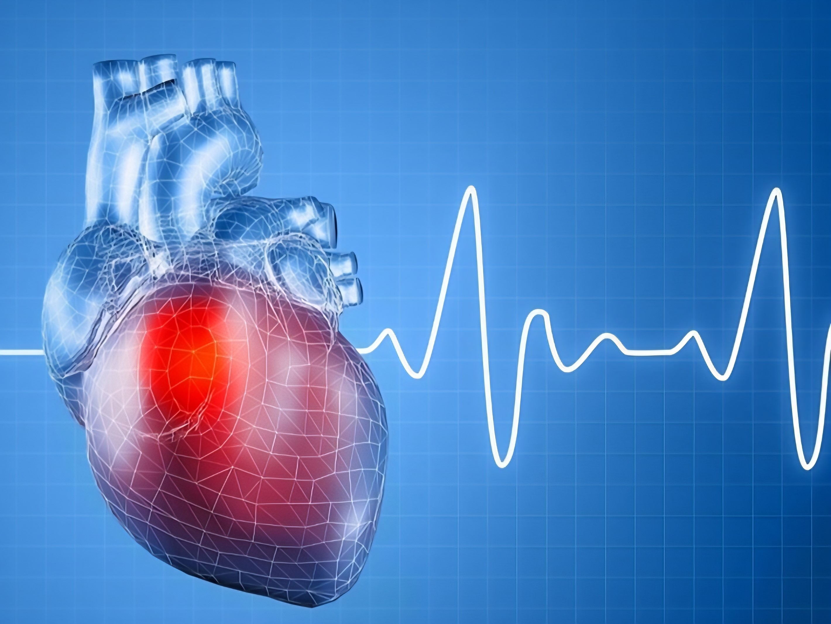 Điểm tin nhanh ngày 26/11/2025