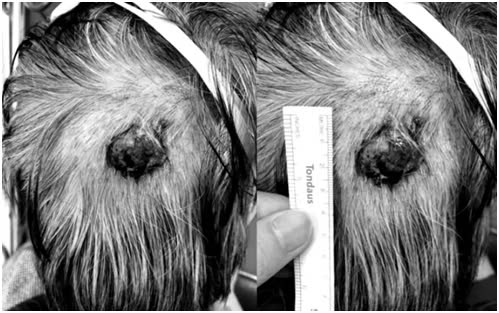 Điểm tin nhanh ngày 28/9/2024