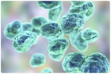 Điểm tin nhanh ngày 30/3/2024