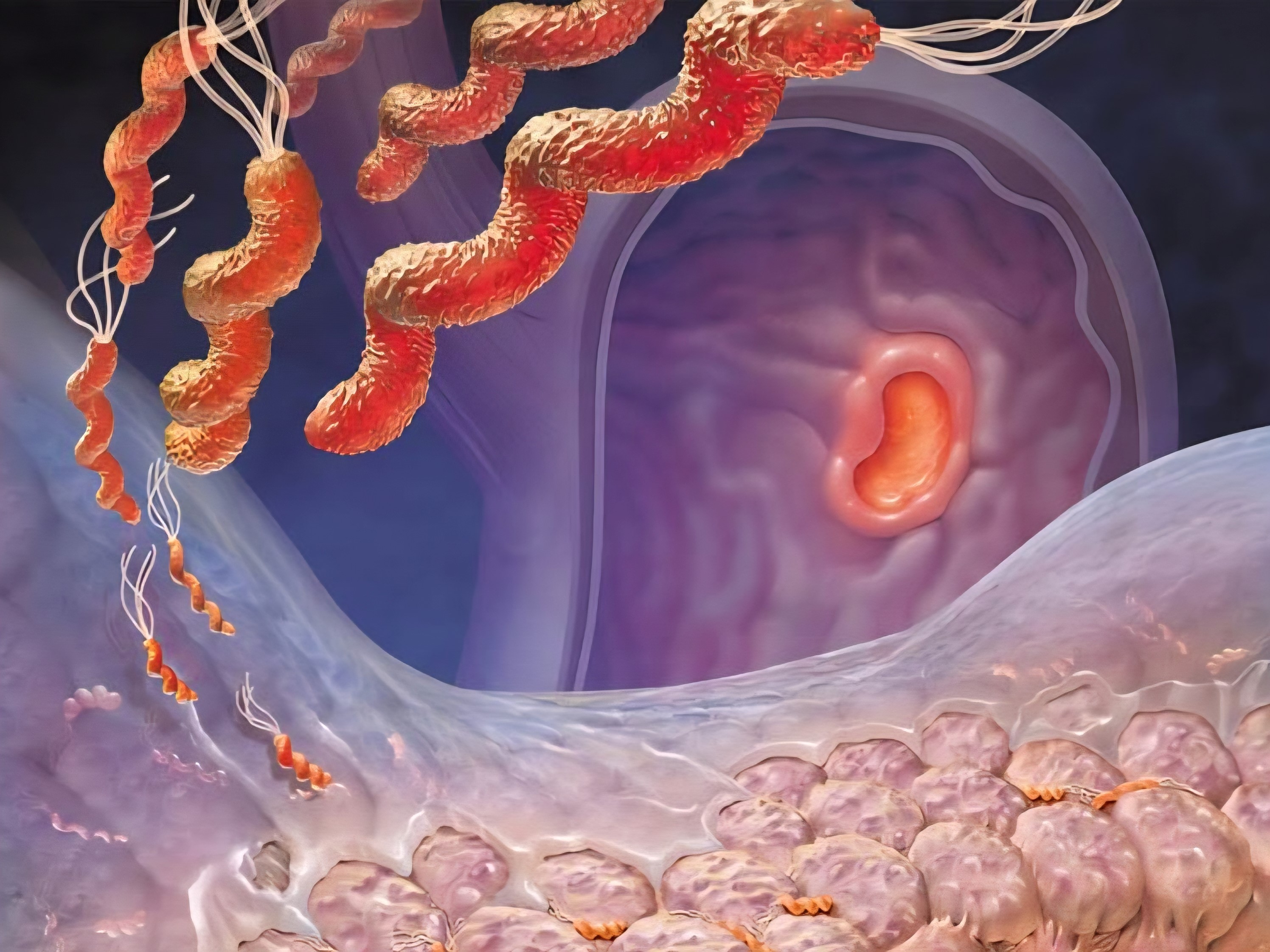 Điểm tin nhanh ngày 31/03/2026