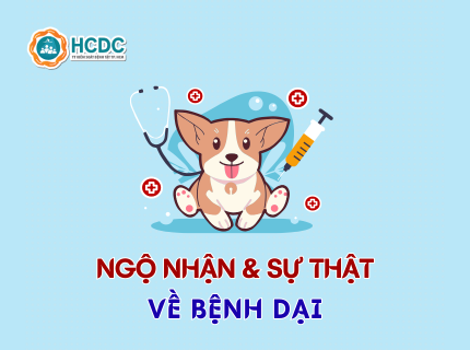 Infographic: Ngộ nhận và sự thật về bệnh dại]