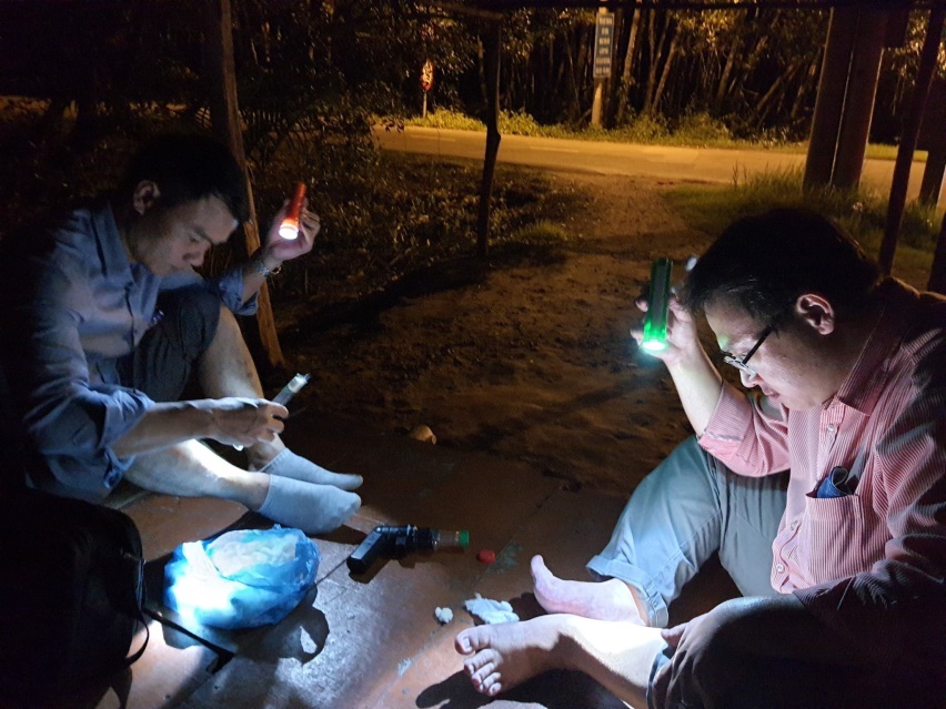 Làm mồi bắt muỗi đêm để giám sát sốt rét