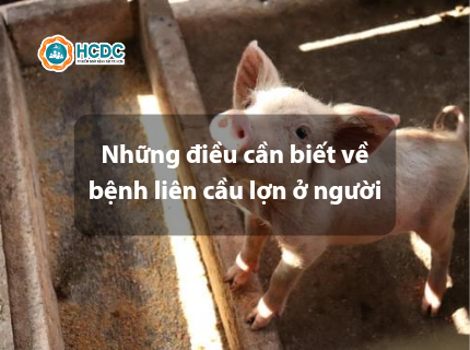 Những điều cần biết về bệnh liên cầu lợn ở người