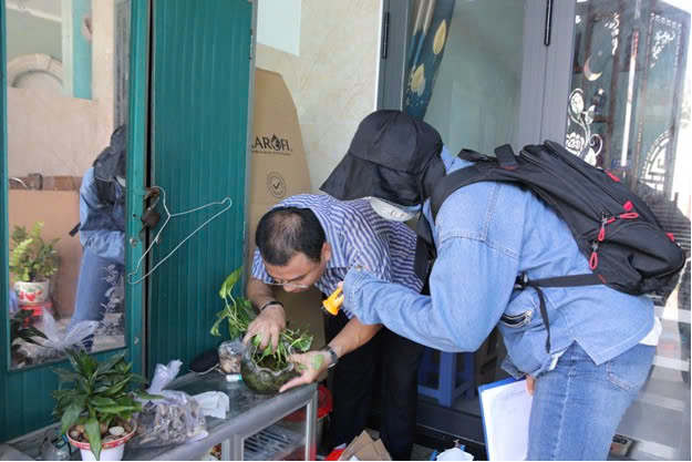 Nỗ lực kiểm soát sốt xuất huyết tại TP. Vũng Tàu cũ