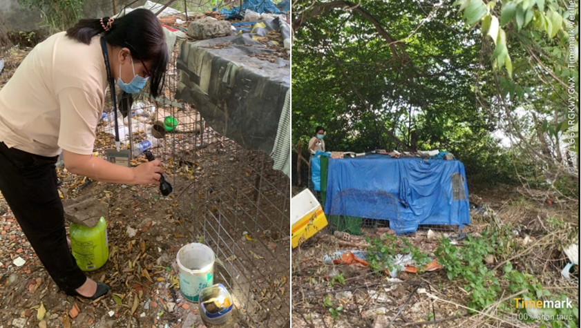 Phường Tân Bình kiểm tra điểm nguy cơ phòng chống sốt xuất huyết trong tháng cao điểm