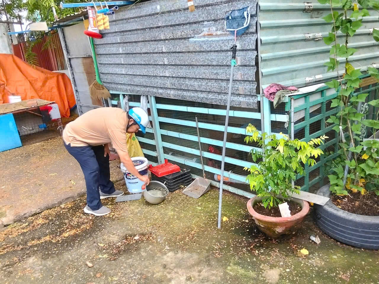 Tăng cường giám sát điểm nguy cơ sốt xuất huyết ở quận Tân Phú cũ