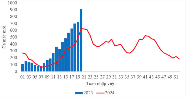 Tình hình bệnh tay chân miệng tại thành phố Hồ Chí Minh