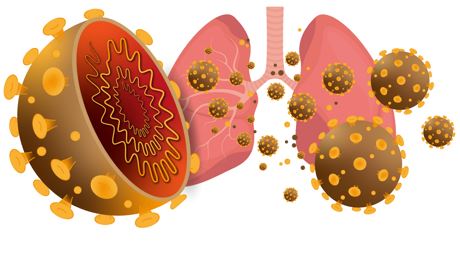 Tình hình dịch bệnh COVID-19 tại Thành phố Hồ Chí Minh đến ngày 19/03/2020
