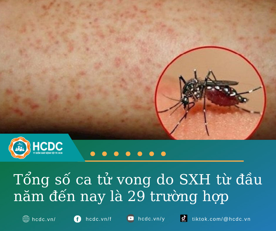 Tình hình dịch bệnh Sốt xuất huyết, Tay chân miệng cập nhật đến tuần 42 (tính đến ngày 16/10/2022)