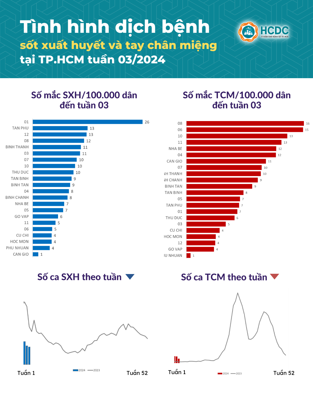 Tình hình dịch bệnh sốt xuất huyết và tay chân miệng tại TP. Hồ Chí Minh tính đến tuần 03/2024