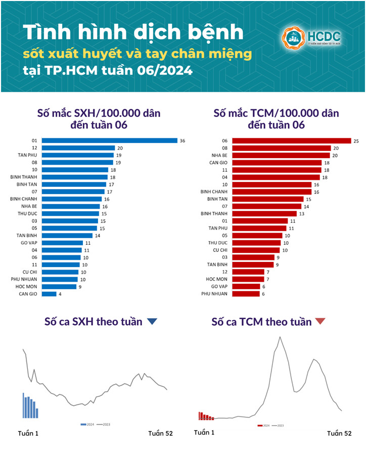 Tình hình dịch bệnh sốt xuất huyết và tay chân miệng tại TP. Hồ Chí Minh tính đến tuần 06/2024