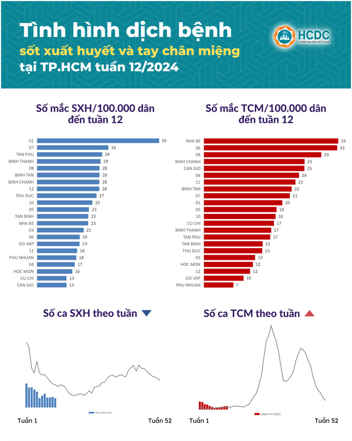 Tình hình dịch bệnh sốt xuất huyết và tay chân miệng tại TP. Hồ Chí Minh tính đến tuần 12/2024