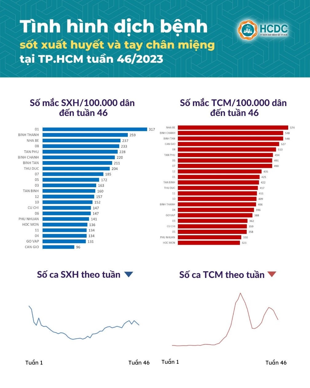 Tình hình dịch bệnh sốt xuất huyết và tay chân miệng tại TP. Hồ Chí Minh tính đến tuần 46/2023