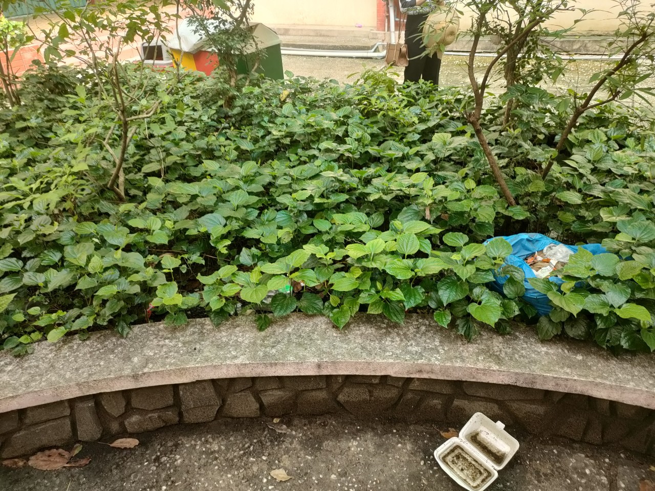 Tình hình dịch bệnh Tay chân miệng, Sốt xuất huyết cập nhật tuần 20 (từ 13-19/5/2022)