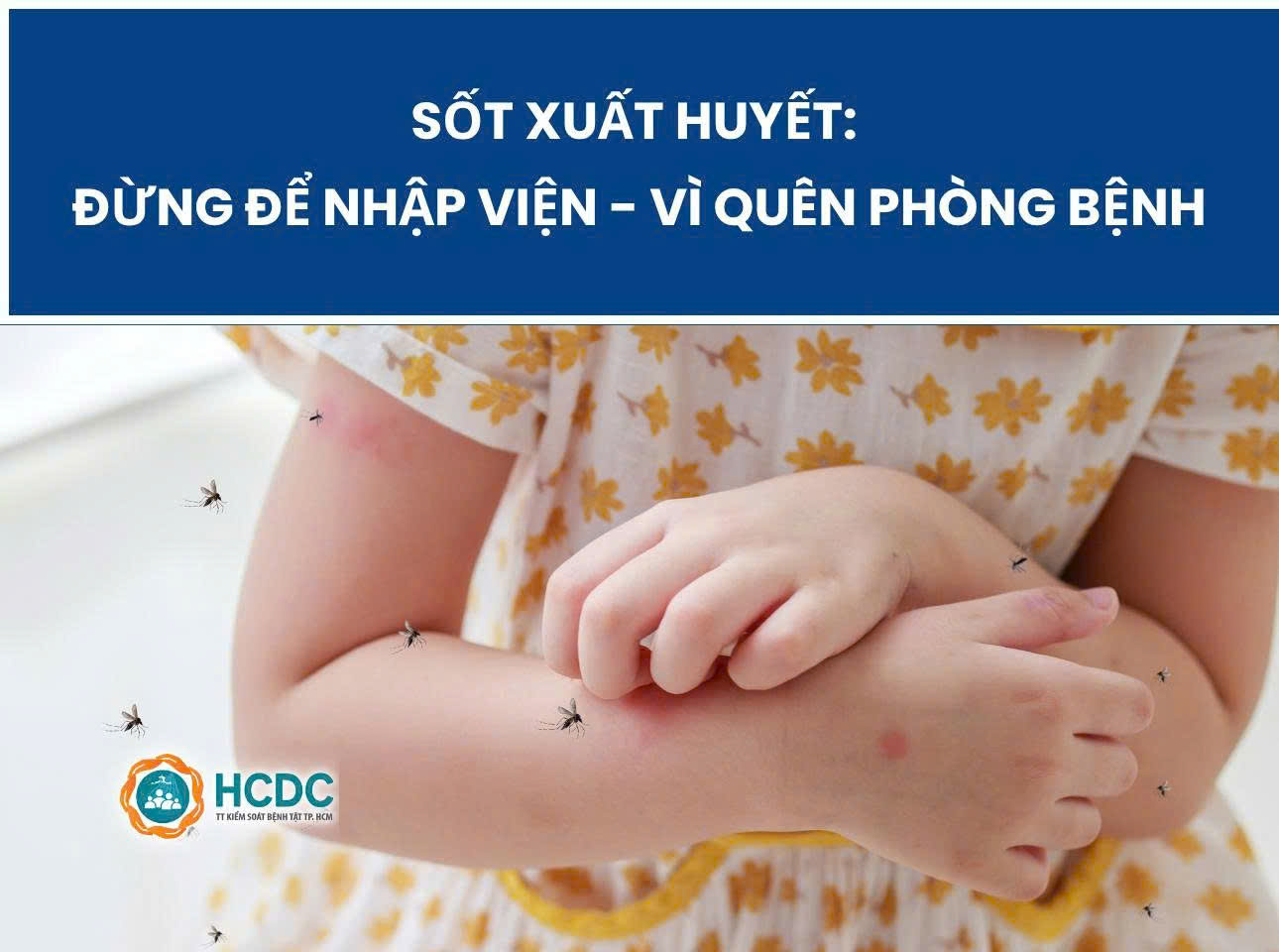 Tọa đàm trực tuyến “Sốt xuất huyết: Đừng để nhập viện - Vì quên phòng bệnh” sắp diễn ra