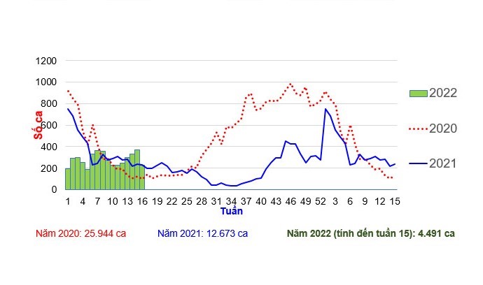 TP.HCM: Cảnh báo nguy cơ dịch bệnh Sốt xuất huyết diễn biến phức tạp
