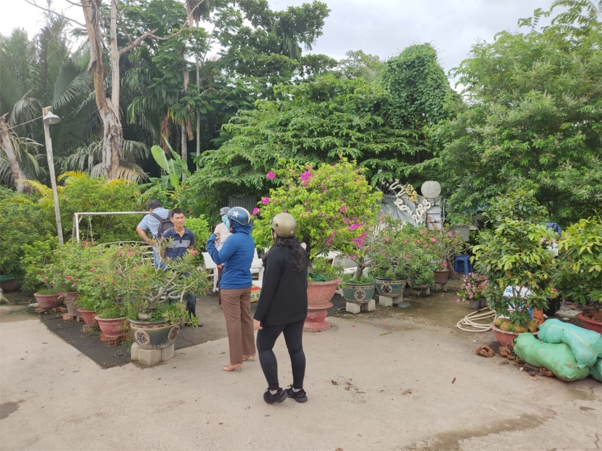 TP.HCM: kết quả giám sát chủ động công tác phòng, chống dịch sốt xuất huyết trên địa bàn Thành phố.