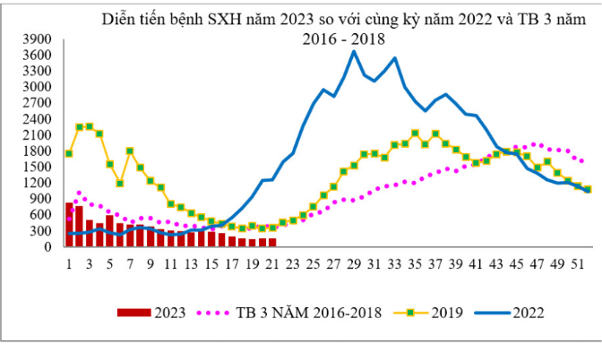 TP.HCM: Nguy cơ bùng phát dịch bệnh tay chân miệng và Sốt xuất huyết