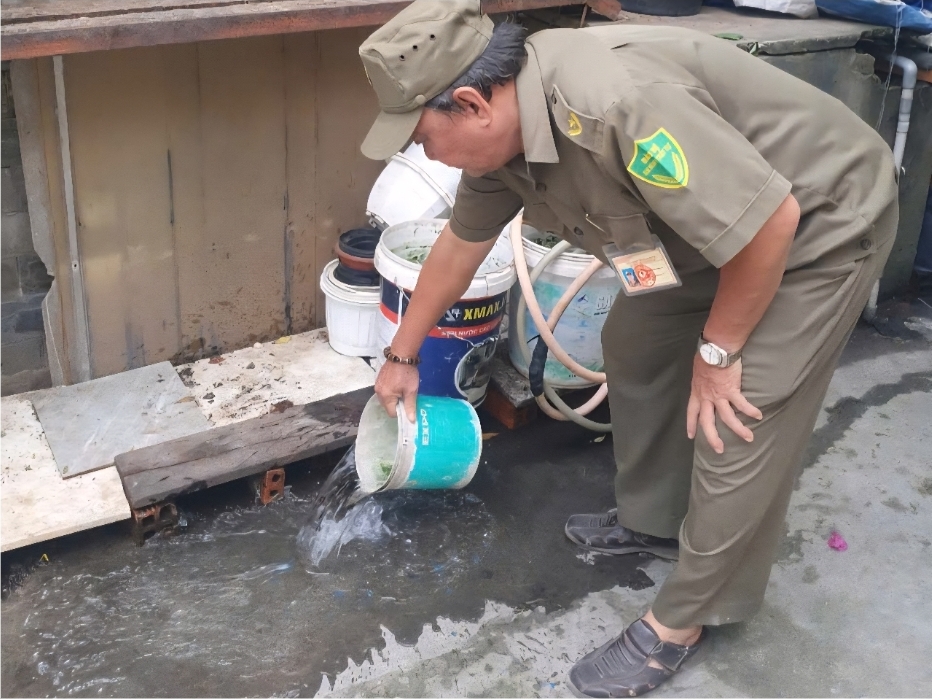 TP.HCM triển khai chiến dịch phòng, chống bệnh Chikungunya