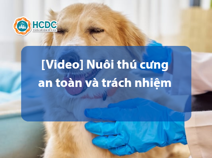 Video] Nuôi thú cưng an toàn và trách nhiệm