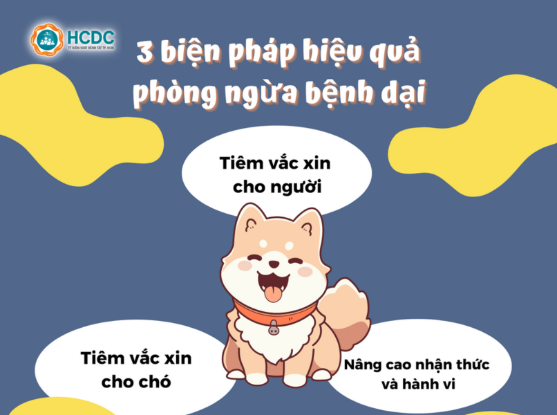 03 giải pháp hiệu quả để phòng ngừa bệnh dại