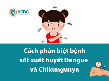 ​[Cách phân biệt bệnh sốt xuất huyết Dengue và Chikungunya]