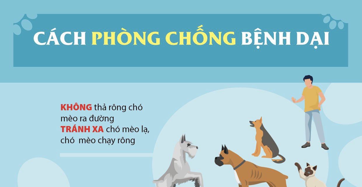 Cách phòng chống bệnh dại