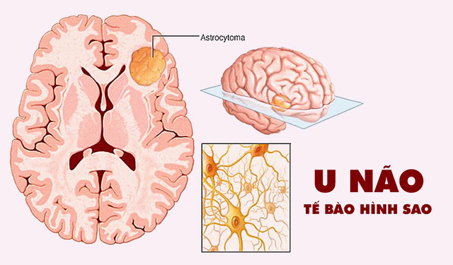 Điểm báo ngày 10/12/2021