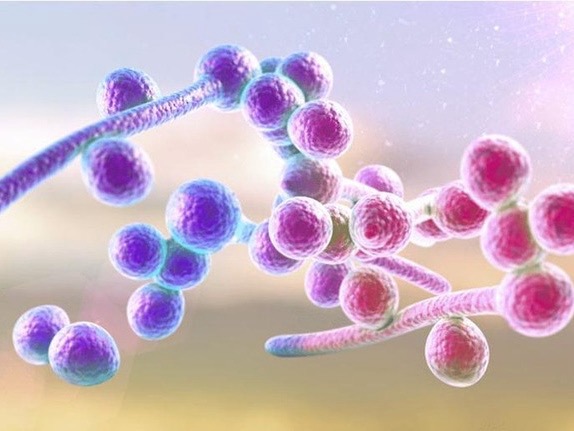 Điểm tin nhanh ngày 04/03/2025