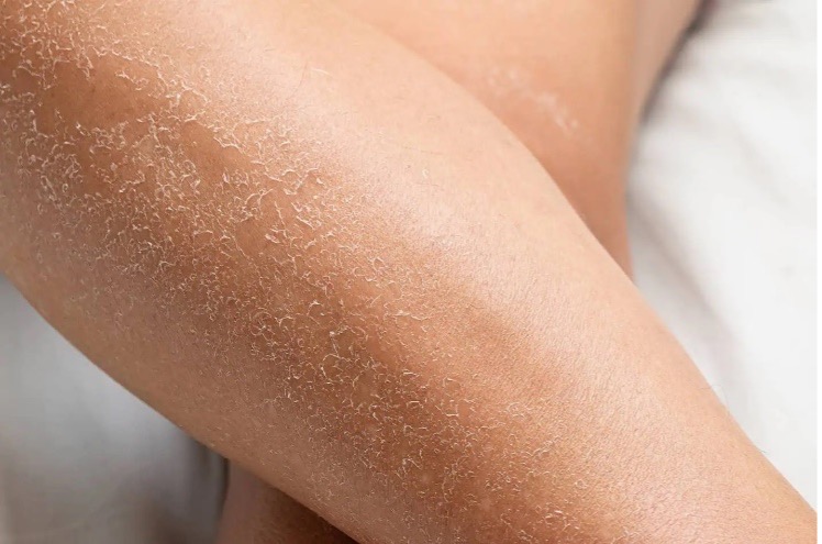 Điểm tin nhanh ngày 04/12/2025