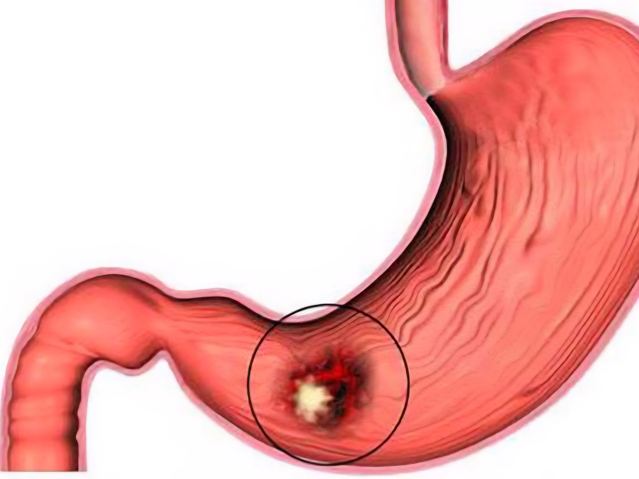 Điểm tin nhanh ngày 08/02/2026