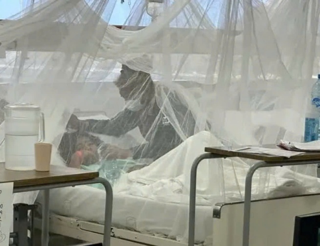 Điểm tin nhanh ngày 11/10/2024