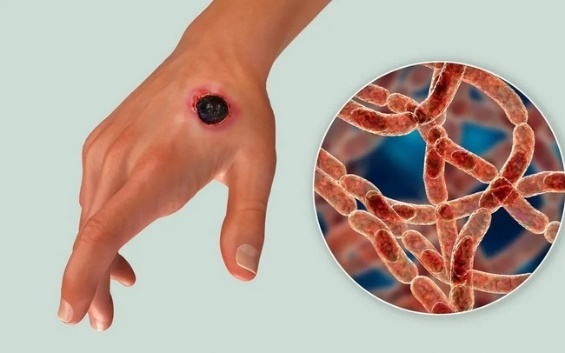 Điểm tin nhanh ngày 11/3/2024