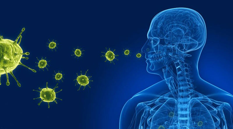 Điểm tin nhanh ngày 17/11/2022